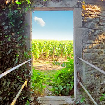 Doorway to vineyard in Burgundy France