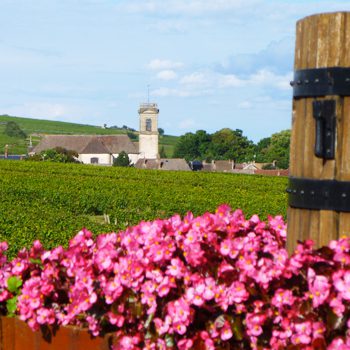 Burgundy France Landscape