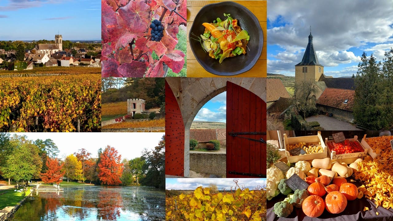 Photo Collage for Creativity Week Ad - 1