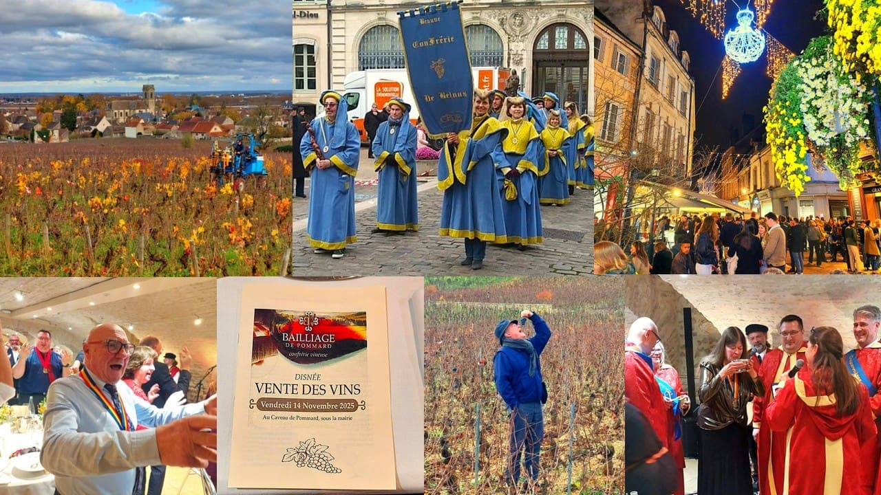 Photo Collage for Wine Auction Adventure 2026